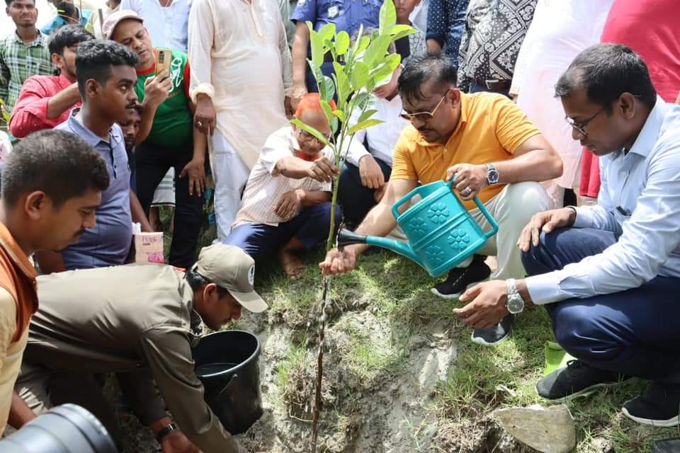 Read more about the article ভোলায় তজুমদ্দিনের বিচ্ছিন্ন চরে বৃক্ষ রোপন কর্মসূচী উদ্বোধন করেন – এমপি শাওন
