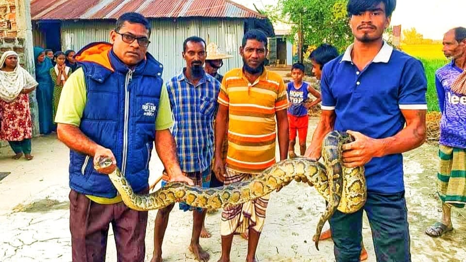 Read more about the article নিশ্চিত মৃত্যুর হাত থেকে রক্ষা পেল অজগর
