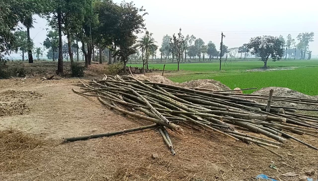 Read more about the article খাস সম্পত্তি দখল ও ভুয়া পত্তনের মাধ্যমে বিক্রি জনস্বার্থ রক্ষায় প্রশাসনের হস্তক্ষেপ কামনা