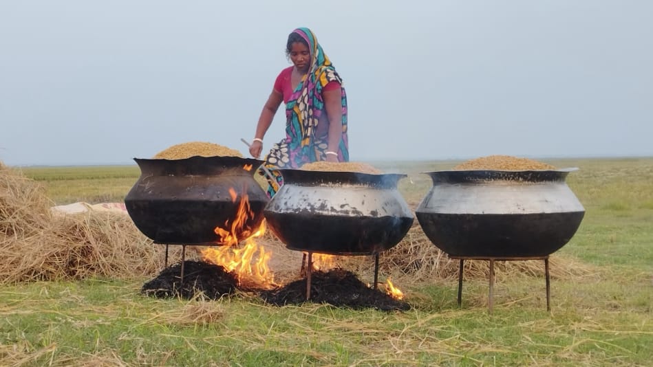 Read more about the article বোরো ধান গোয়ালে তুলতে কিষান-কিষানীরা ব্যস্ত