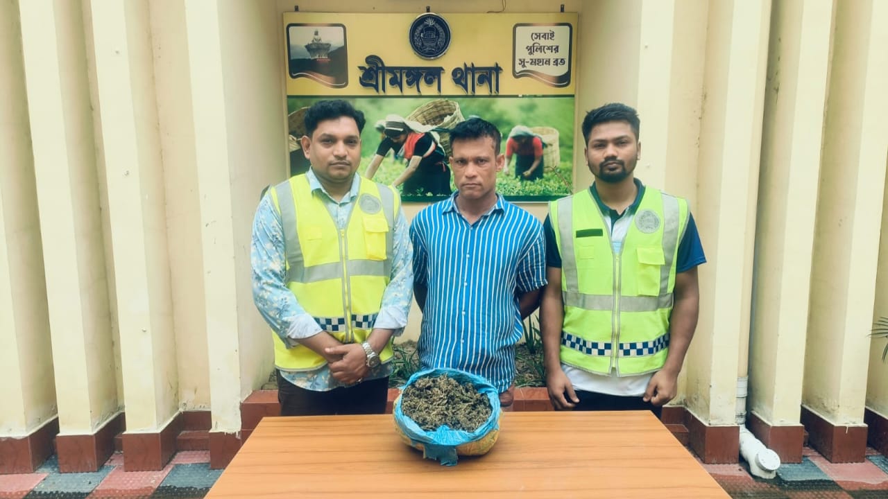 Read more about the article শ্রীমঙ্গলে মাদক সম্রাট মনসুর গ্রেপ্তার