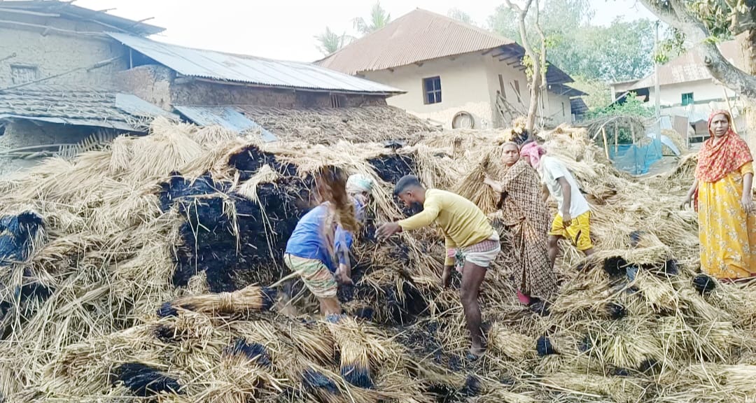 Read more about the article মধ্যরাতে দূর্বৃত্তদের দেয়া আগুনে খড়ের পালা পুড়ে ছাই